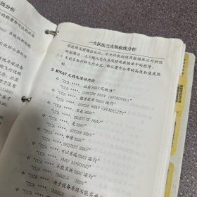 中国国际航空股份有限公司：一大队航线参考资料