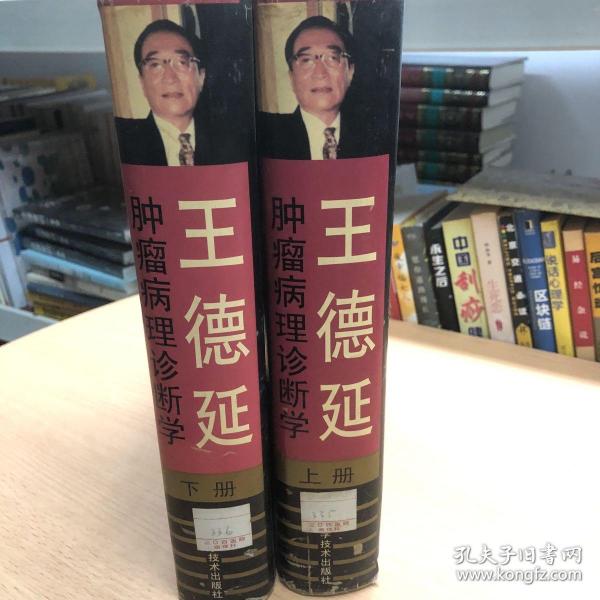 王德延肿瘤病理诊断学