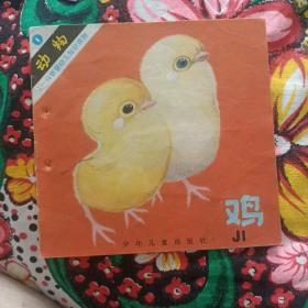 婴幼儿知识读物 鸡