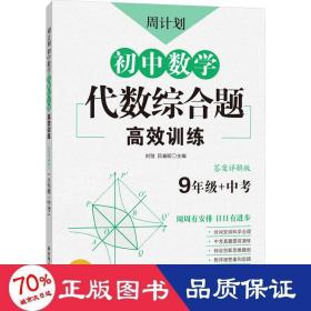 周计划：初中数学代数综合题高效训练（9年级+中考）