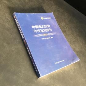 中国电力行业年度发展报告2021