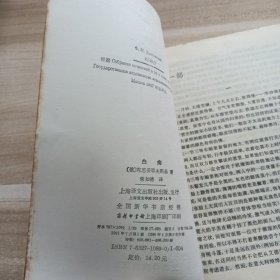 白痴
