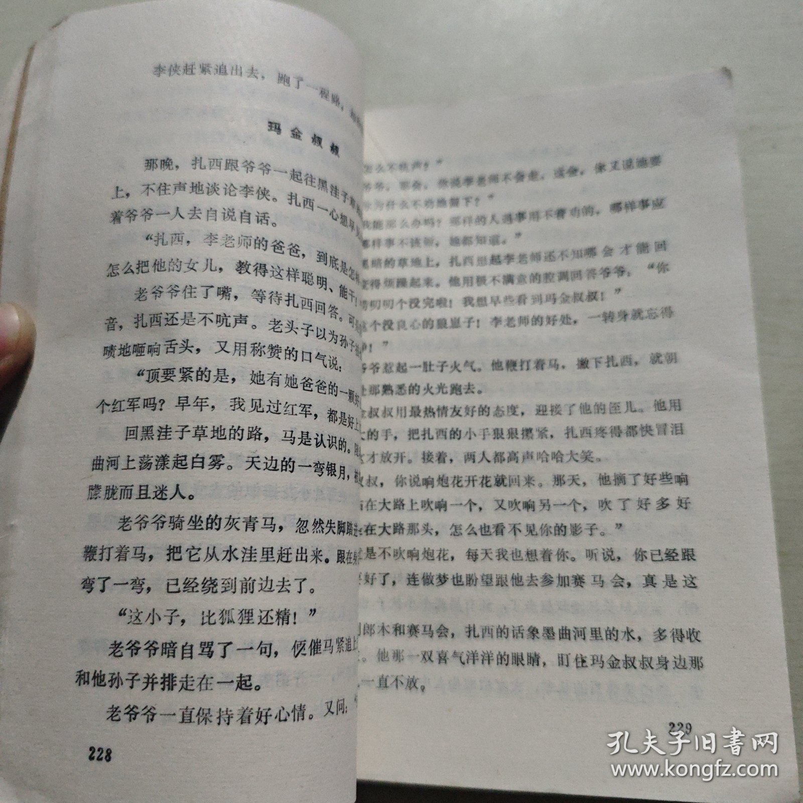 胡奇中篇小说选