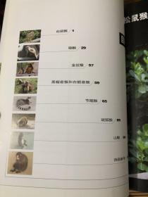 动物摄影图片资料书籍 猴篇 画家 摄影师等美术创作资料用书