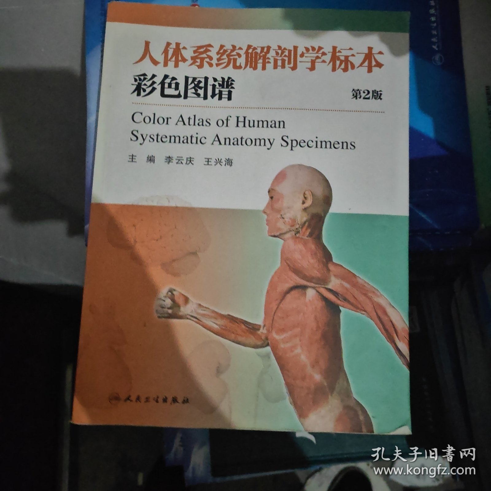 人体系统解剖学标本彩色图谱（第二版）