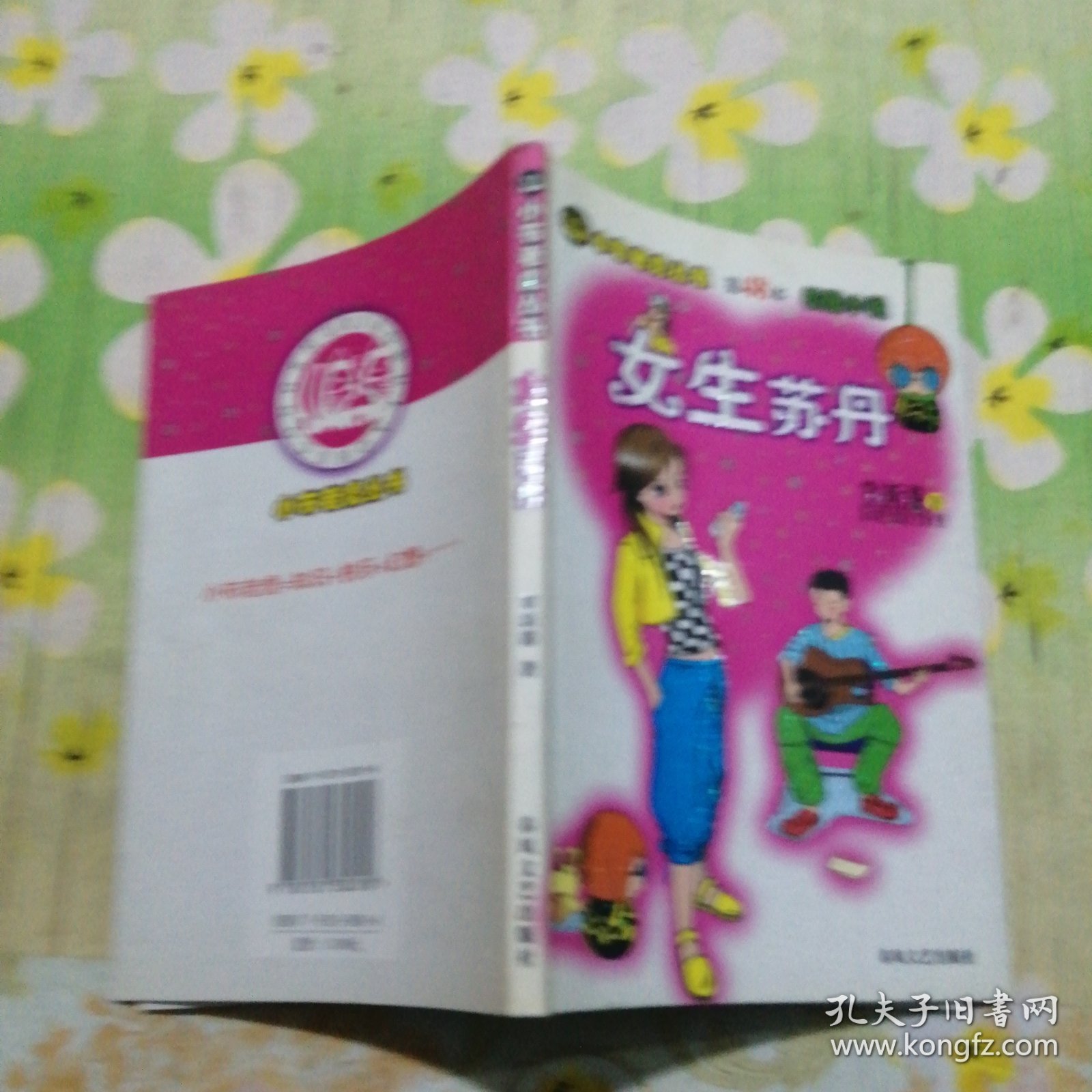 女生苏丹——小布老虎丛书