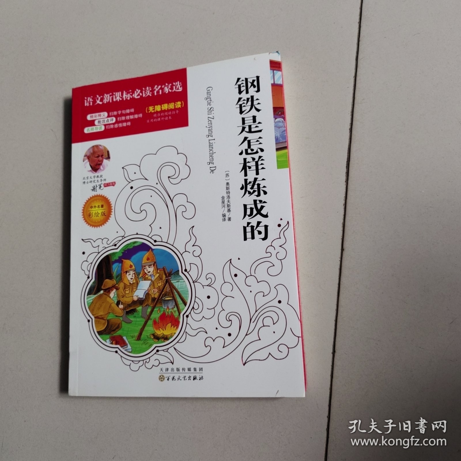 彩绘版钢铁是怎样炼成的