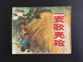 一支驳壳枪