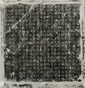 大唐故高道不仕清河房有非墓志铭并序 尺寸35cm 房府君，河南郡河南县都会乡人，祖父辈均入仕，但房府君忠孝舍才，高道不仕，若乃父慈子孝兄友弟恭内和外诚，一生不追名利!