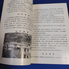 大埔县文物志