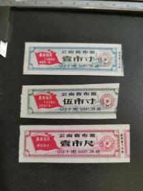 云南省布票1969年3枚