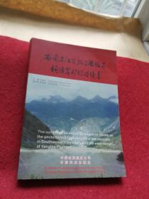 西南三江及扬子西缘区构造岩矿综论续集