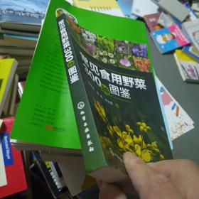 常见食用野菜300种图鉴—绿色、安全、生态野菜；可供植物爱好者、园艺爱好者、餐饮爱好者阅读参考，也可供相关专业师生实习、实践参考。