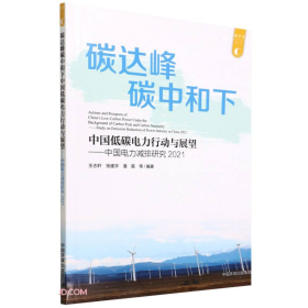 中国电力减排研究2021:碳达峰碳中和下中国低碳电力行动与展望