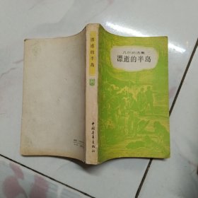 凡尔纳选集 漂逝的半岛