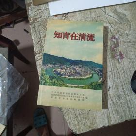 知青在清流