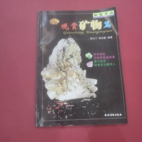 珍宝异石：观赏矿物篇