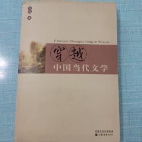 穿越中国当代文学