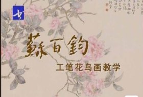 光盘：苏百钧工笔花鸟画教学（1-32讲）8DVD光盘高清版