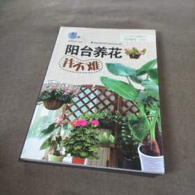 阳台养花并不难