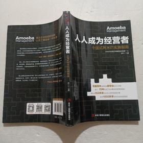人人成为经营者：中国式阿米巴实施指南