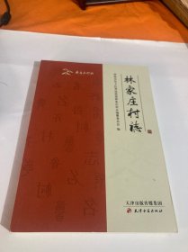 林家庄村志（齐鲁名村志）.