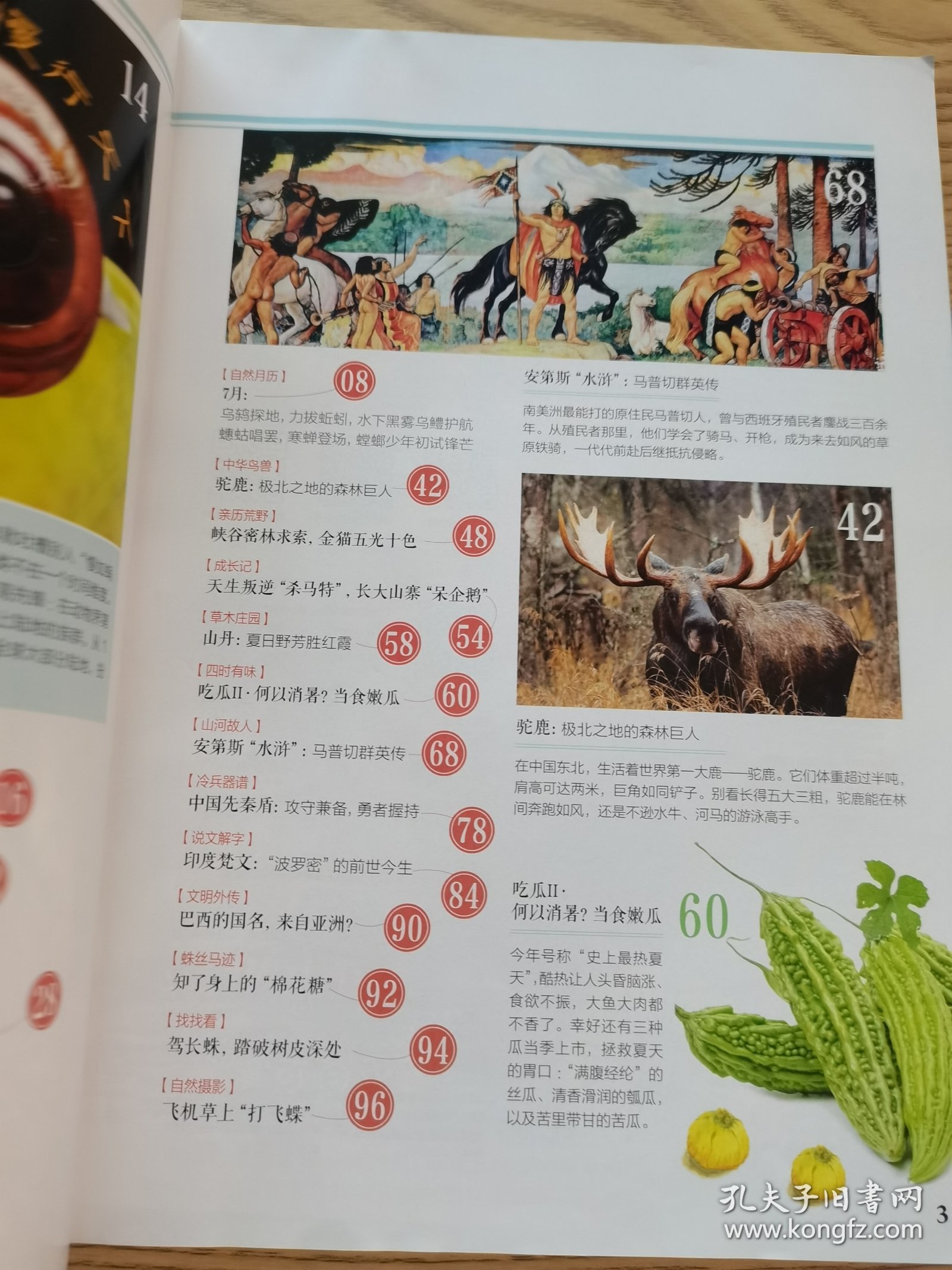 点击查看原图 博物2023.07