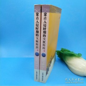 蒙古入侵时期的突厥斯坦：西域历史语言研究译丛