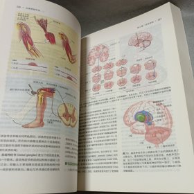 认知神经科学：关于心智的生物学