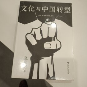文化与中国转型