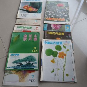 中国花卉盆景1992.3/4/5/6/7/8/9/10/11（合售）