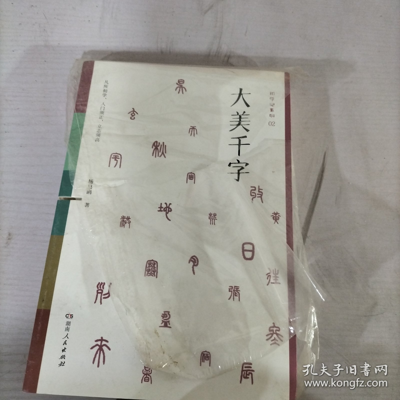 大美千字（中小学生课外读物，亲子共读国学经典。知名语文学科专家杨昊鸥带领博士团队献给孩子的人生礼物——《千字文》无障碍读本：识字启蒙，启迪文采，端正书写。）