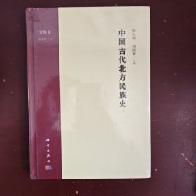 中国古代北方民族史·突厥卷