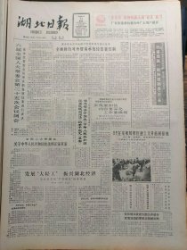 湖北日报1988年3月13日：【金龙泉系列啤酒又获省优称号；棉花麦秆立体工艺画；】~（版面齐全，放心购买）。