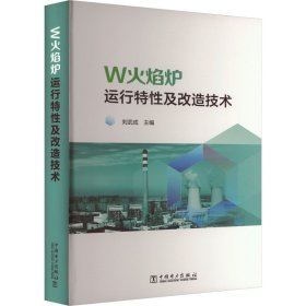 W火焰爐運(yùn)行特性及改造技術(shù)