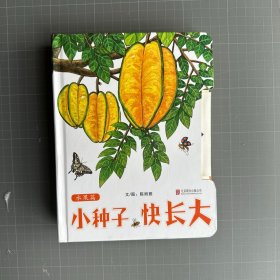 小种子，快长大（水果篇）  （启发童书馆出品）