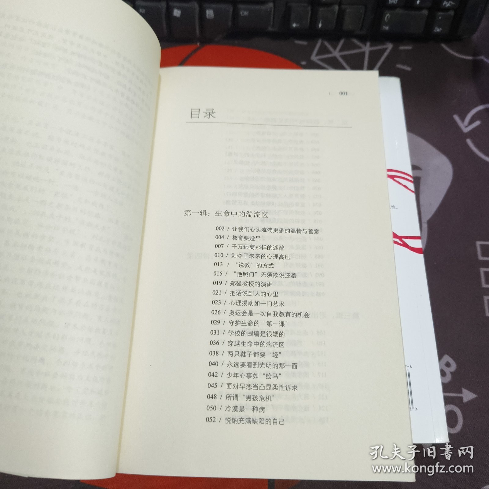 我们热爱什么样的教育（书脊有瑕疵）