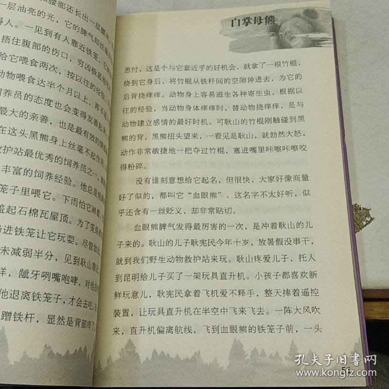 沈石溪中外动物小说世界：白掌母熊