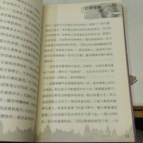 沈石溪中外动物小说世界：白掌母熊