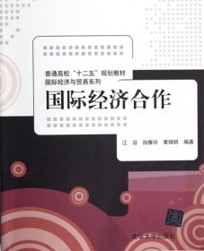 二手国际经济合作 江沿孙雅玲黄锦明 清华大学出版社 97873023025