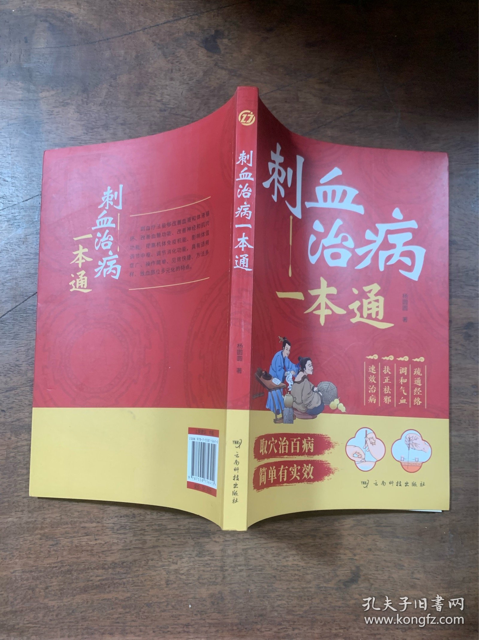 刺血治病一本通