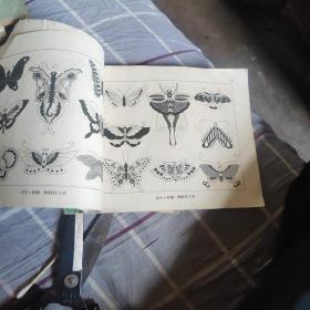 动物图案纹样集（天津美术出版社1958年初版）