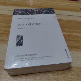 大卫·科波菲尔 全译本平装版(全2册)（未拆封）