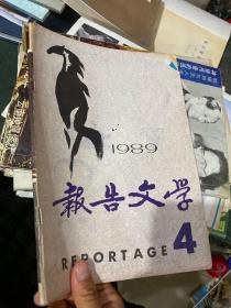 报告文学1989.4