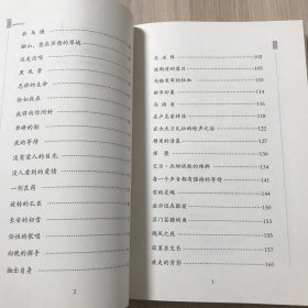 时间从不留下倒影（诗集）