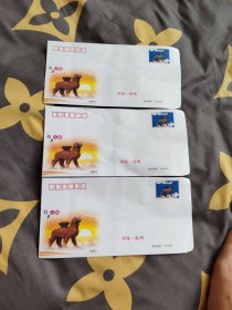 中国邮政沧州铁狮子信封2009（3个）