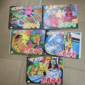 连环画 忍者神龟 盒装1——25合售 根据60集电视动画片《忍者神龟》改编 1991年一版一印 海南摄影美术出版社