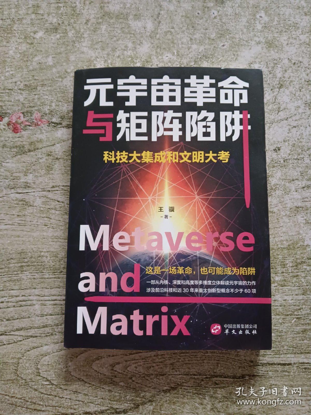 元宇宙革命与矩阵陷阱（科技大集成和文明大考，畅销书《新未来简史》作者重磅力作）