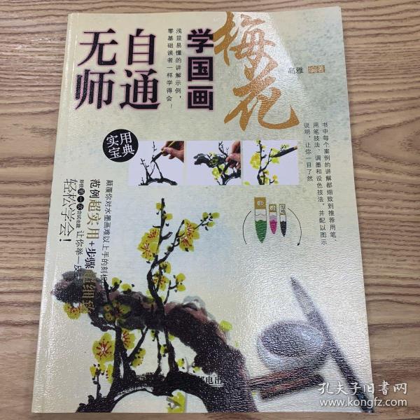 无师自通学国画1：梅花