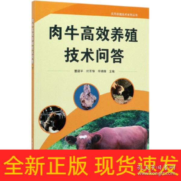 肉牛高效养殖技术问答